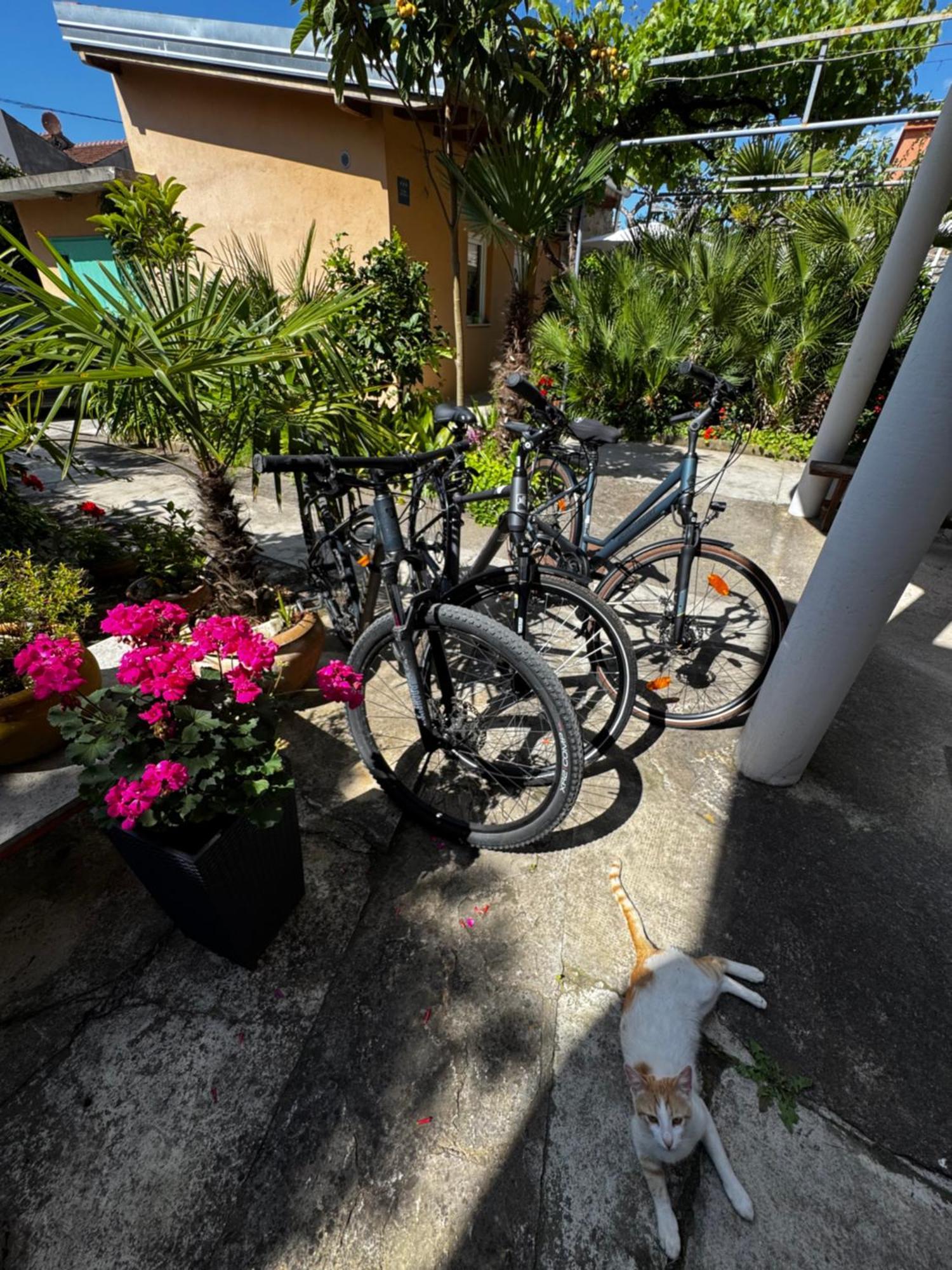 Eleonora Apartments ザダル エクステリア 写真